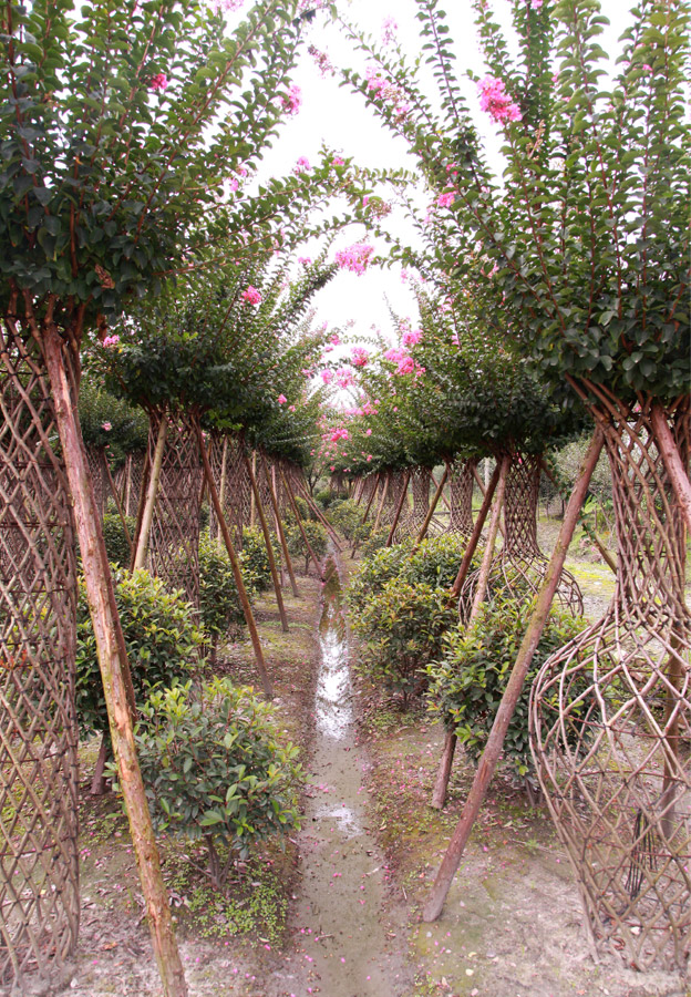 長垣市華夏園林綠化有限公司