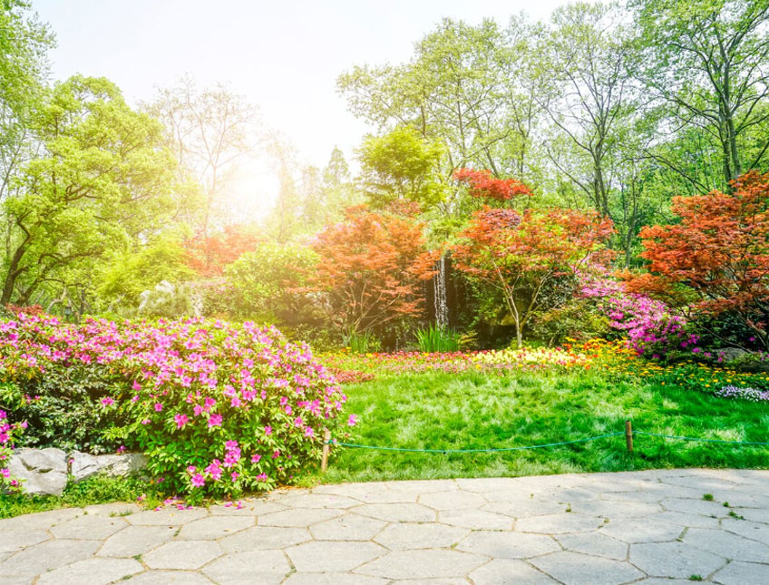 長(zhǎng)垣市華夏園林綠化有限公司